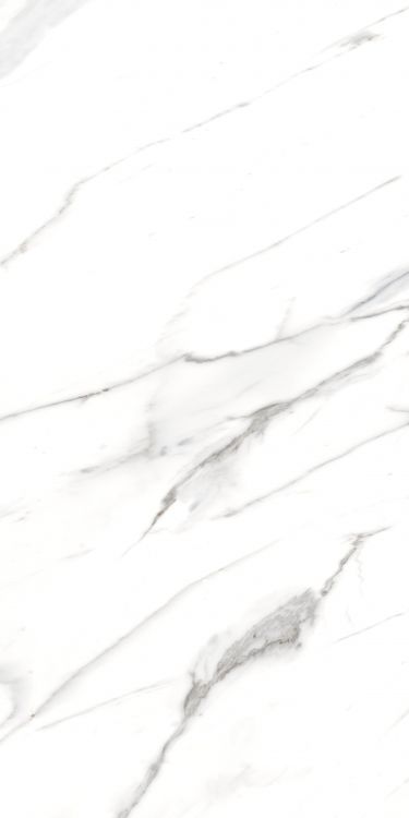 AGL Carrara Polished 24 x 48